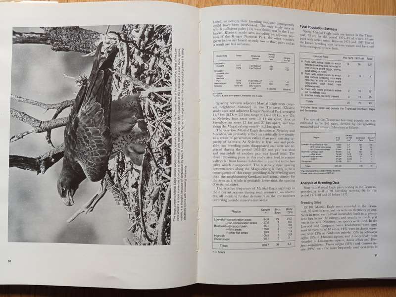 The Status & Conservation of Birds of Prey in the Transvaal by Warwick Tarboton and David Allan