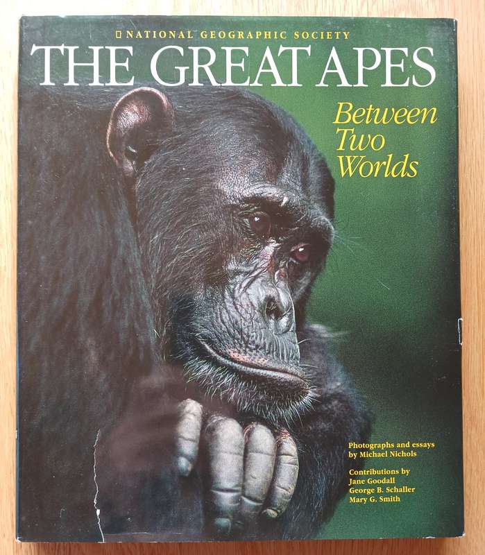 The Great Apes - Between Two Worlds