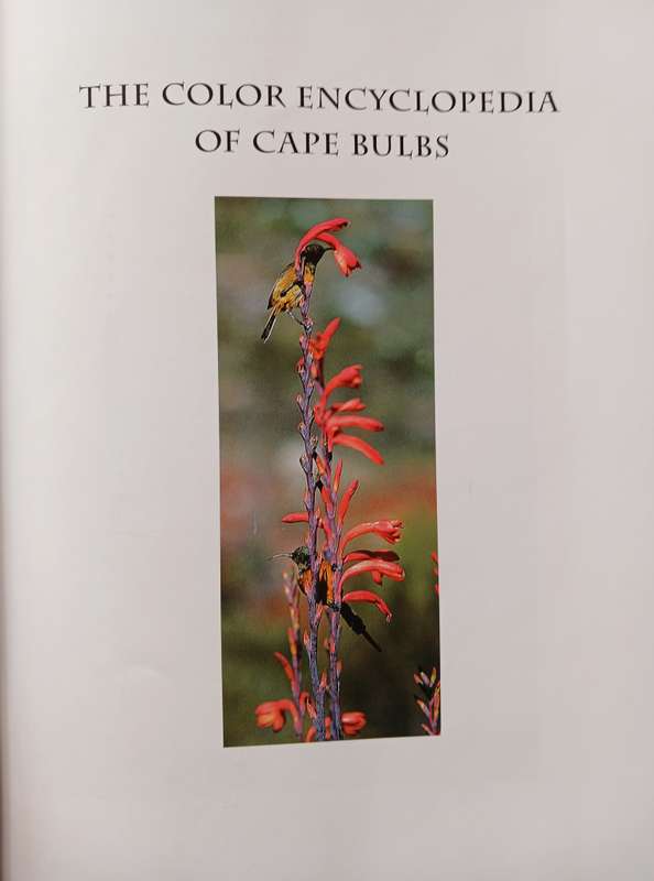 The Colour Encyclopedia of Cape Bulbs