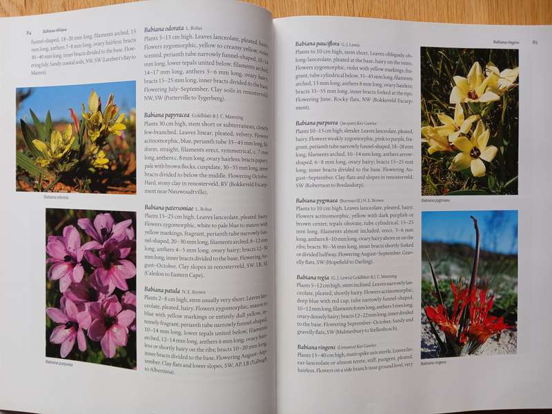 The Colour Encyclopedia of Cape Bulbs