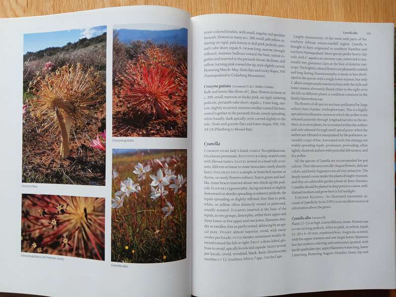 The Colour Encyclopedia of Cape Bulbs
