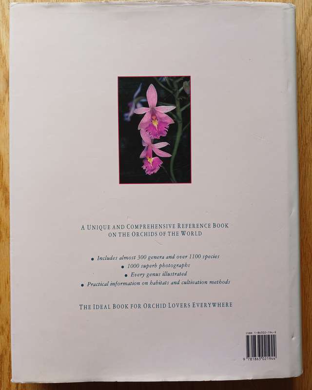 What Orchid is that?
