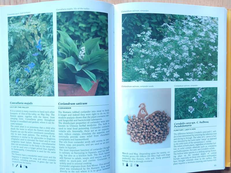 Encyclopedia of herbs by Nico Vermeulen
