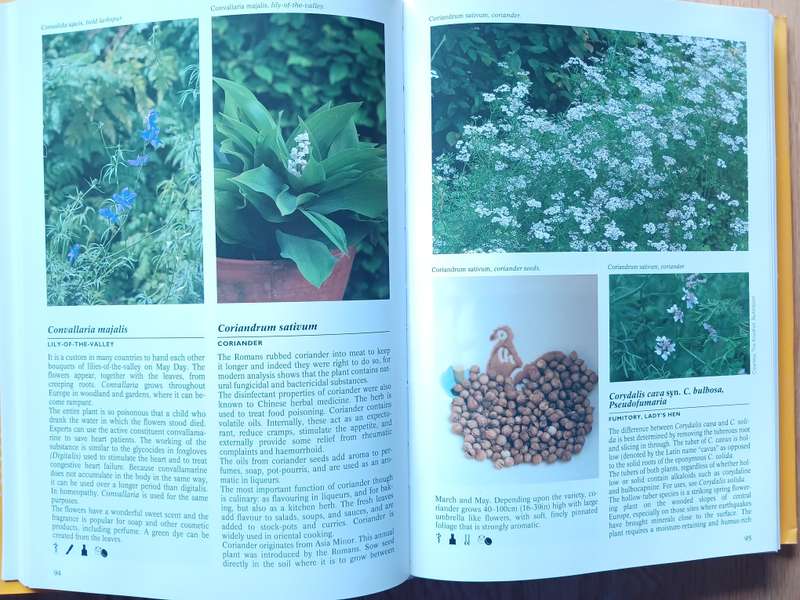 Encyclopedia of herbs by Nico Vermeulen