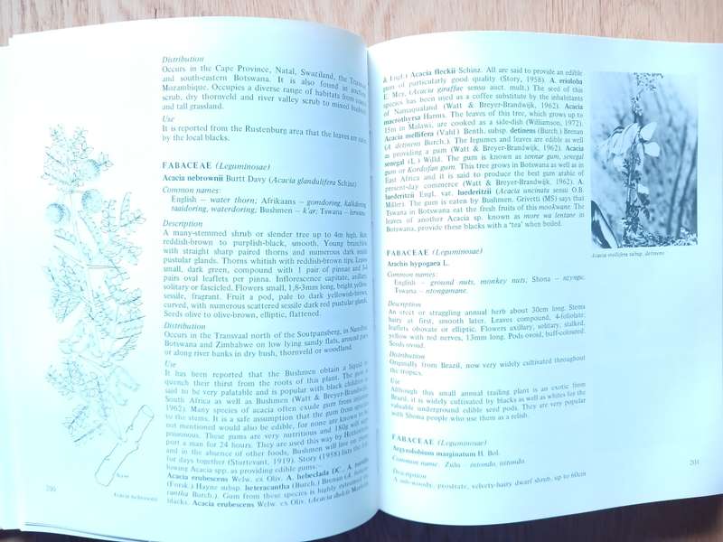 Food from the Veld - Edible wild plants of Southern Africa