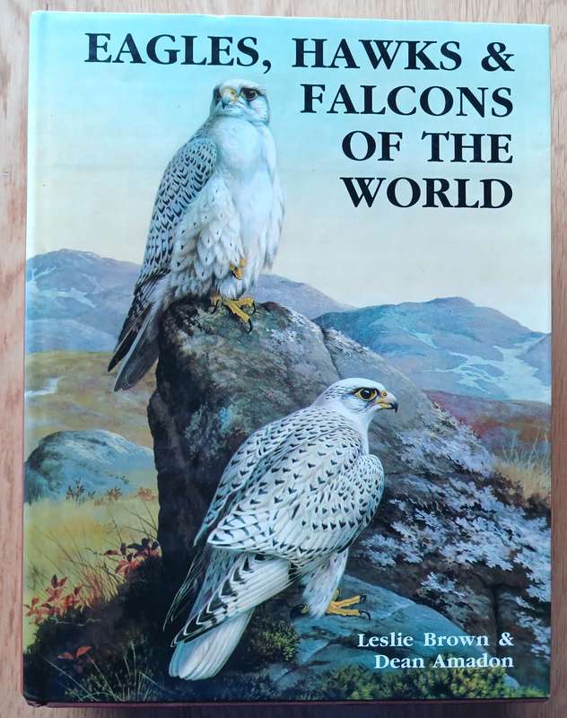 Eagles, Hawks & Falcons of the World by Leslie Brown & Dean Amadon