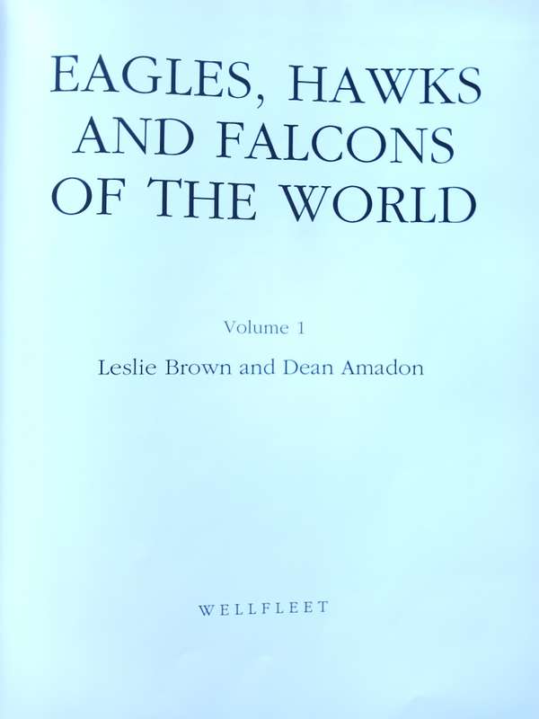 Eagles, Hawks & Falcons of the World by Leslie Brown & Dean Amadon
