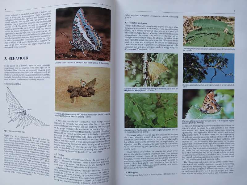 The Charaxinae Butterflies of Africa by Stephen Frank Henning