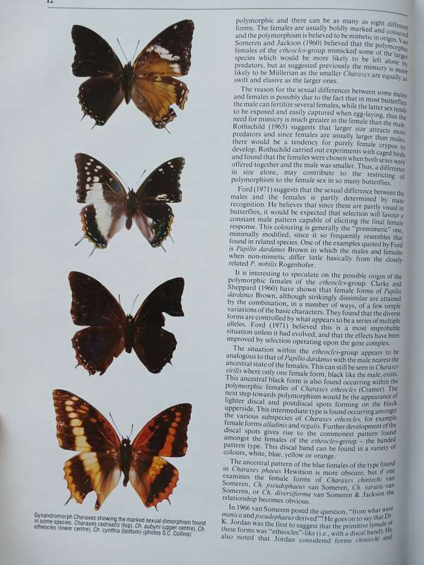 The Charaxinae Butterflies of Africa by Stephen Frank Henning
