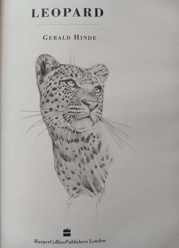 Leopard by Gerald Hinde