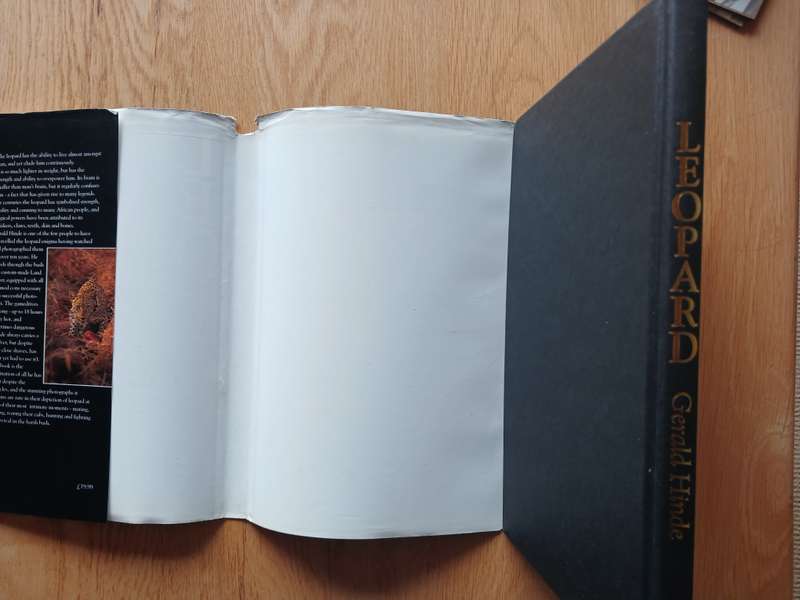 Tales of Shipwrecks at the Cape of Storms by John Gribble and Gabriel Athiros