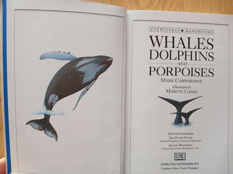 Whales, Dolphins and Porpoises - The visual guide to all the world's cetaceans by Mark Carwardine