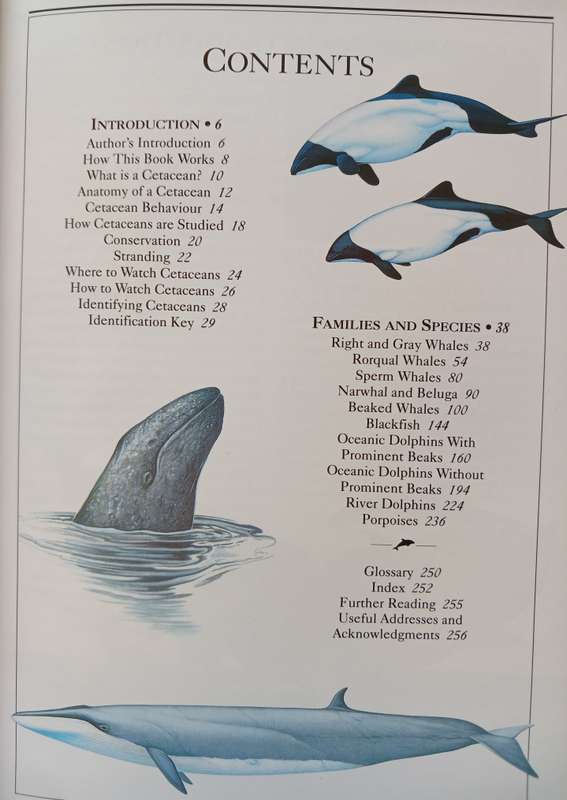Whales, Dolphins and Porpoises - The visual guide to all the world's cetaceans by Mark Carwardine
