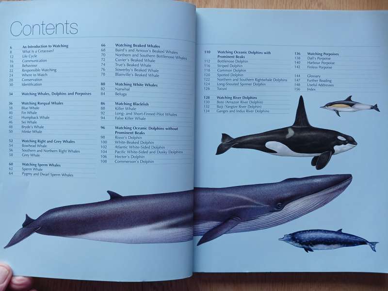 Whalewatcher - A global guide to watching whales, dolphins and porpoises in the wild by Trevor Day