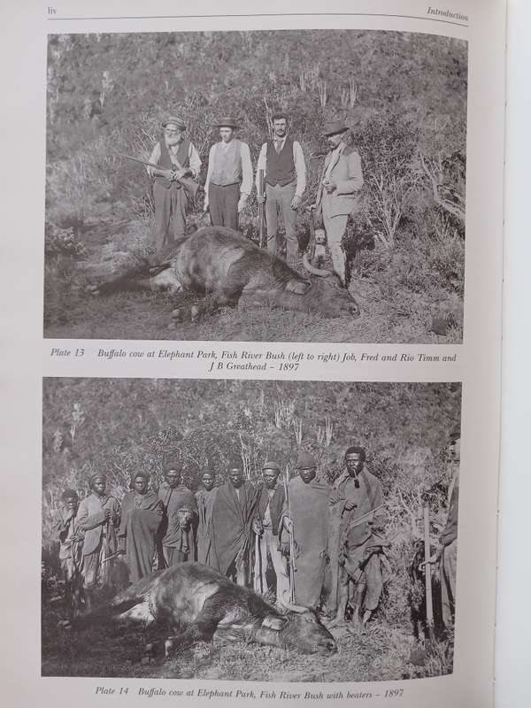 The African Hunting and Travel Journals of JBS Greathead 1883-1910