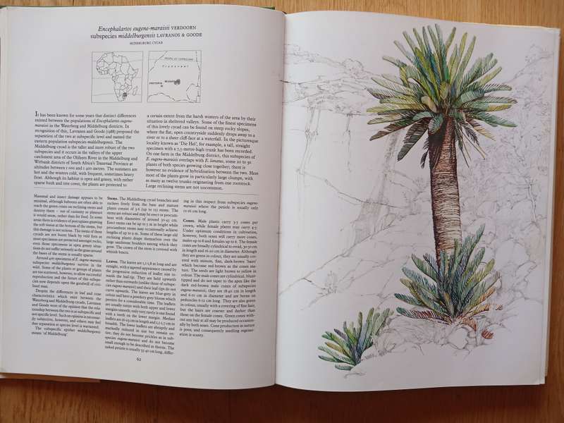 Cycads of Africa by Douglas Goode