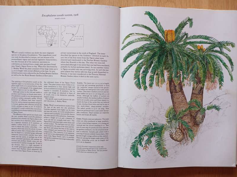 Cycads of Africa by Douglas Goode