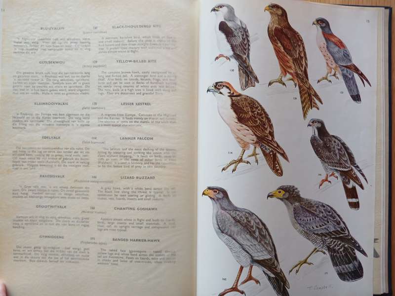 Birds of the Kruger and other National Parks: Stevenson Hamilton Edition