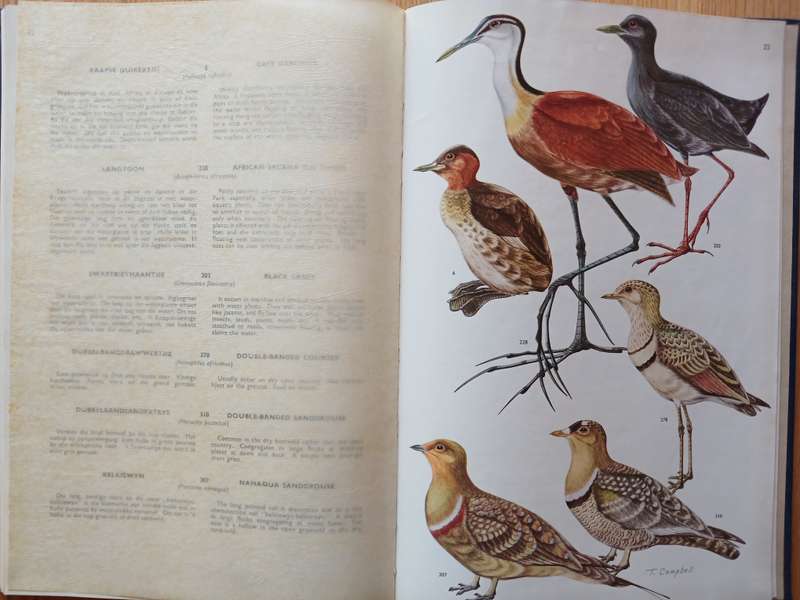Birds of the Kruger and other National Parks: Stevenson Hamilton Edition