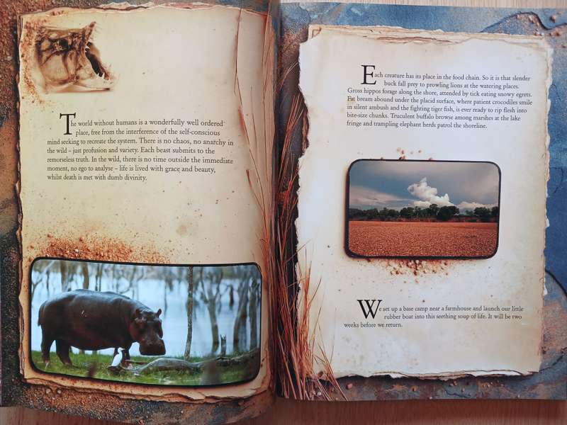 An African Journal by Horst Klemm