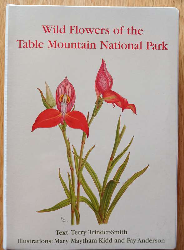 Wildflowers of the Table Mountain National Park