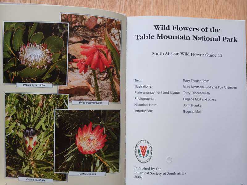 Wildflowers of the Table Mountain National Park