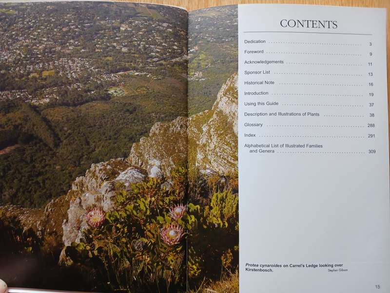 Wildflowers of the Table Mountain National Park