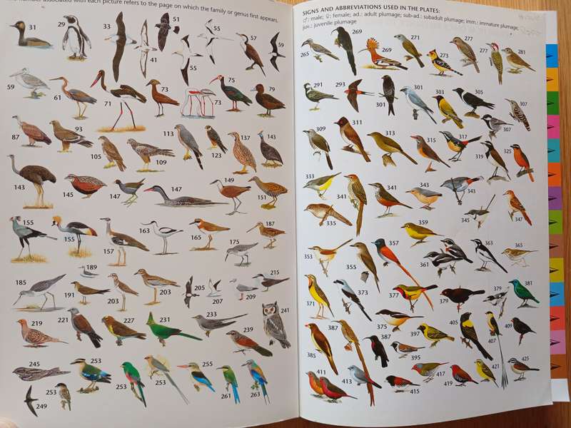 The Larger Illustrated Guide to Birds of Southern Africa by Ian Sinclair & Phil Hockey
