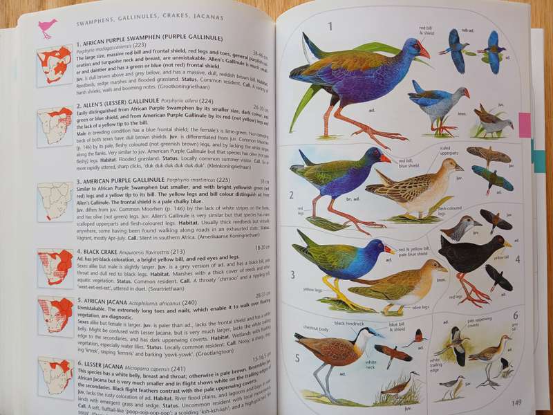 The Larger Illustrated Guide to Birds of Southern Africa by Ian Sinclair & Phil Hockey
