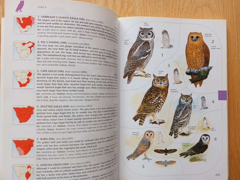 The Larger Illustrated Guide to Birds of Southern Africa by Ian Sinclair & Phil Hockey
