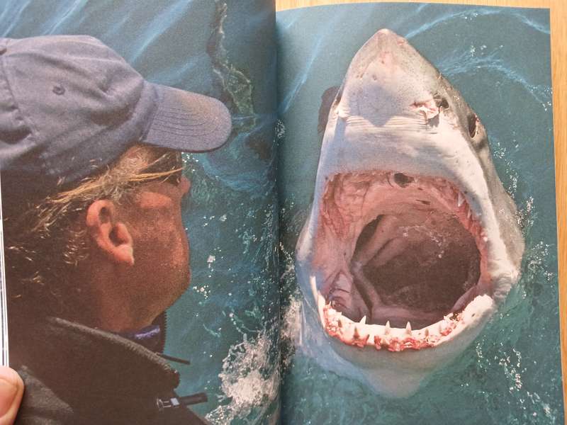 Orca - The day the Great White sharks disappeared by Richard Peirce
