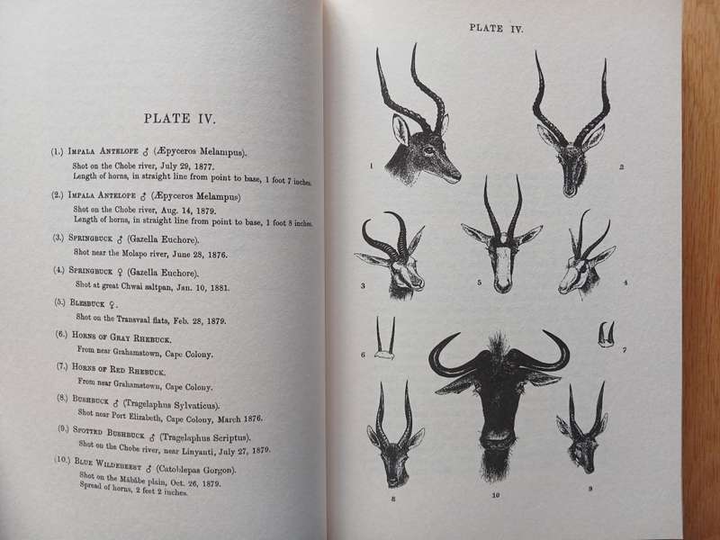 A Hunter's Wanderings in Africa by F.C. Selous