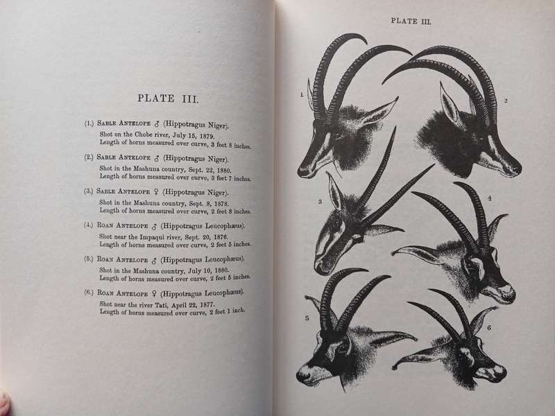 A Hunter's Wanderings in Africa by F.C. Selous
