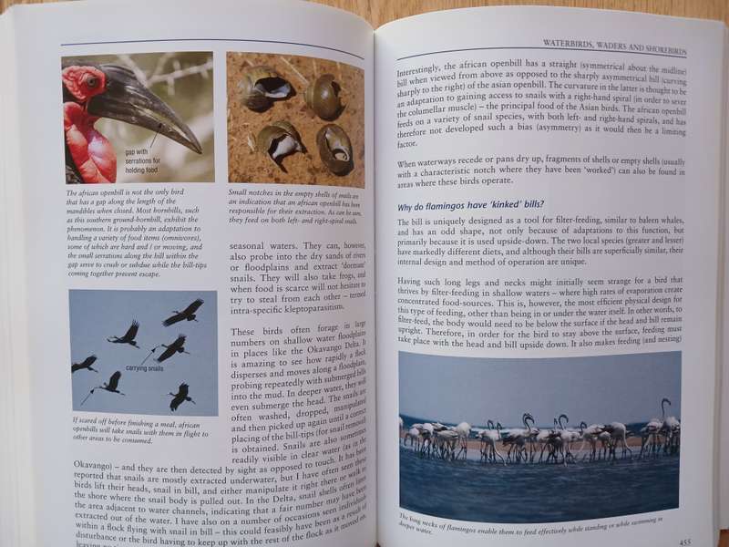 Field Guide to Insects of South Africa