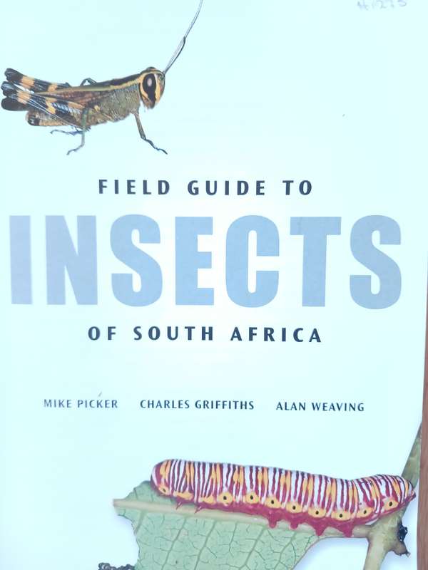 Field Guide to Insects of South Africa