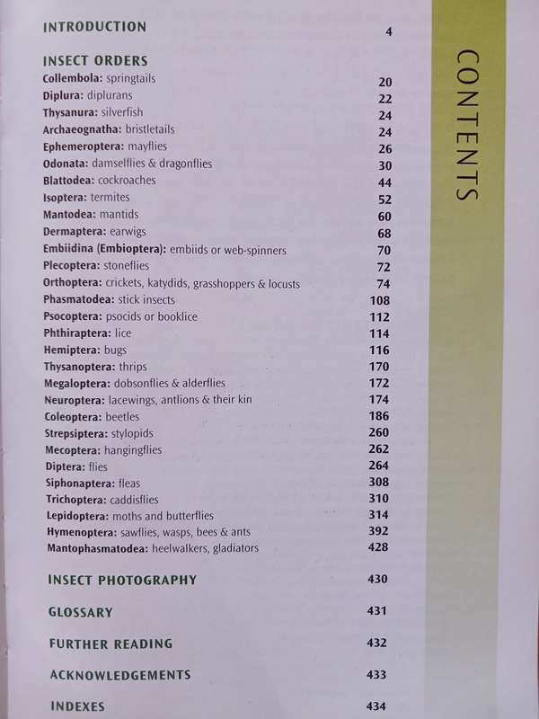 Field Guide to Insects of South Africa