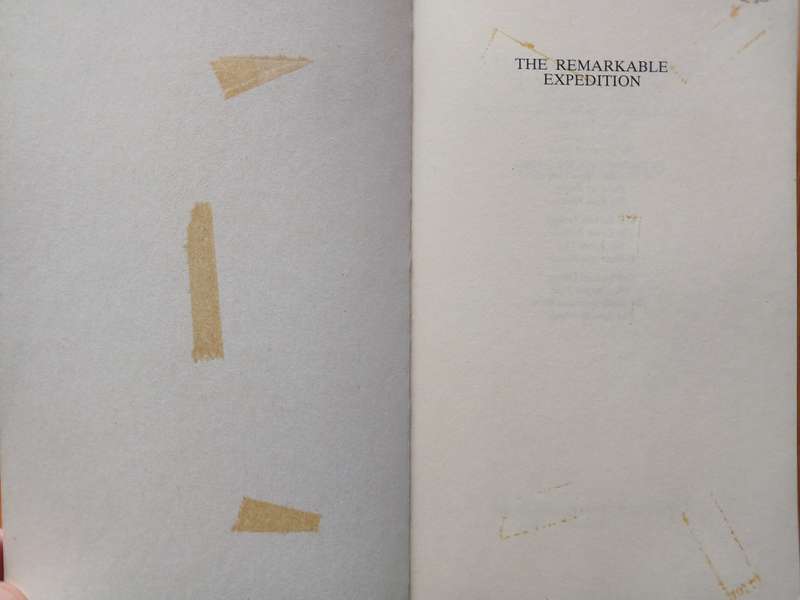 The Remarkable Expedition - The Story of Stanley's Rescue of Amin Pasha from Equatorial Africa