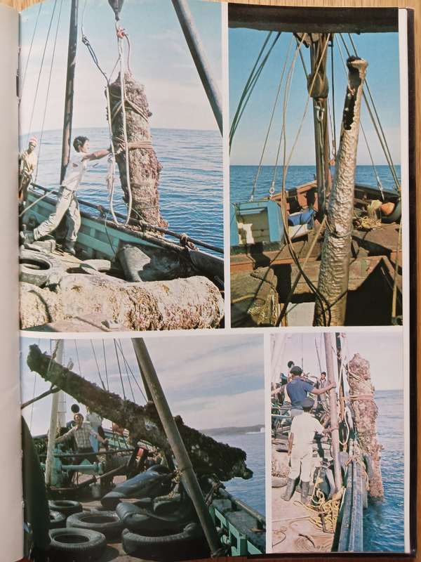 The Guns of Sacramento by Geoffrey & David Allen