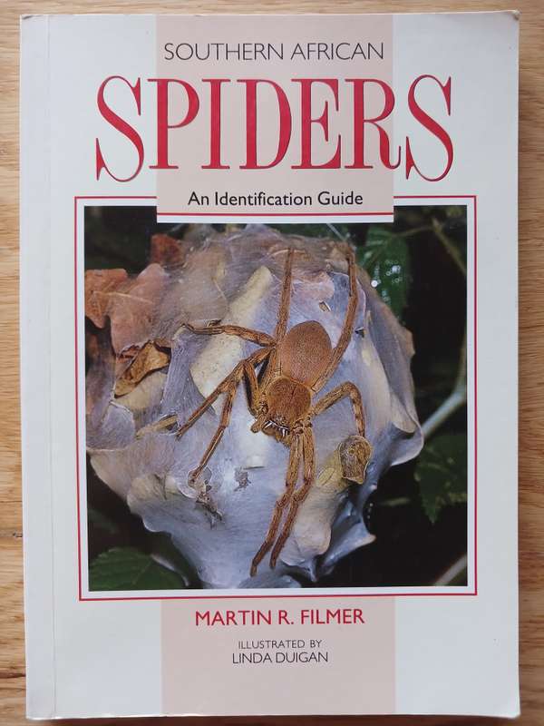 Southern African Spiders - An Indentification Guide