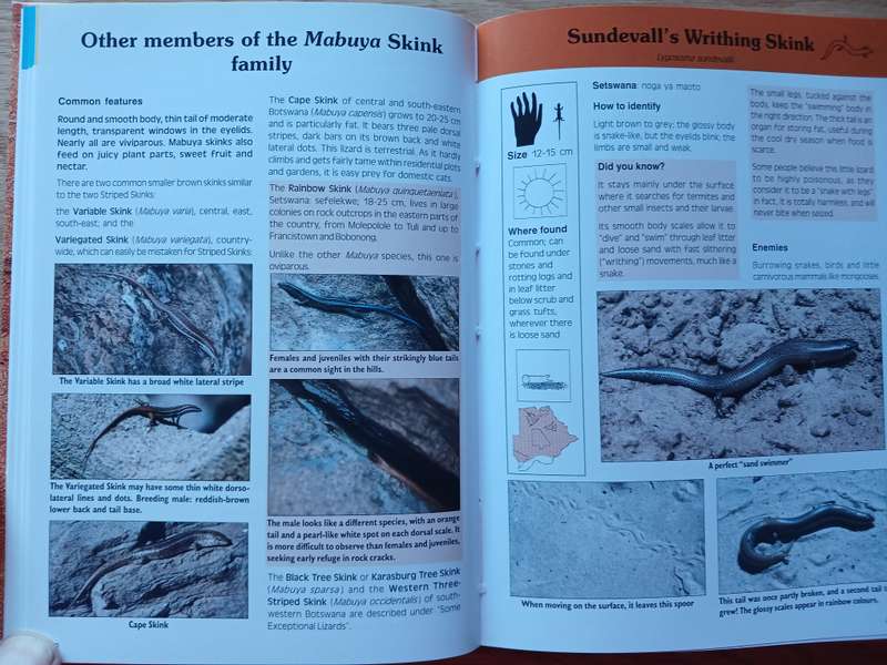 Common Amphibians and Reptiles of Botswana