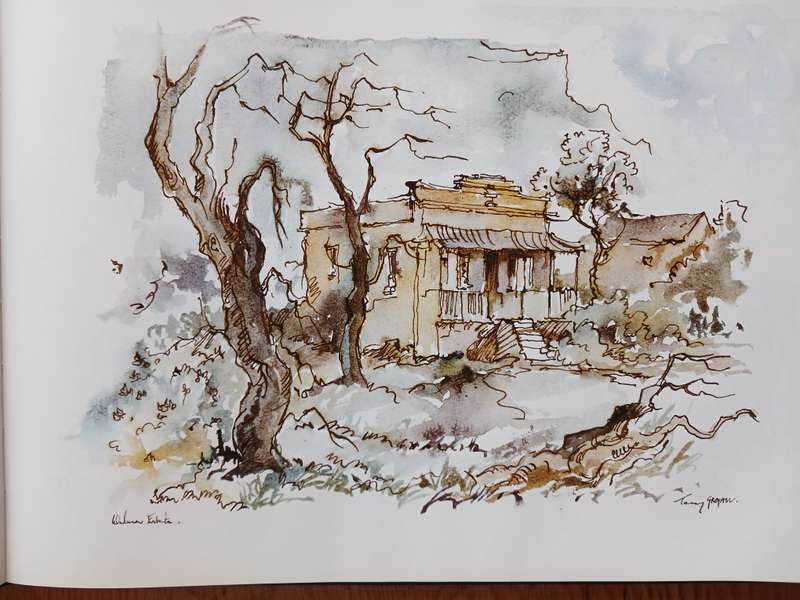 Tony Grogan's Vanishing Cape Town