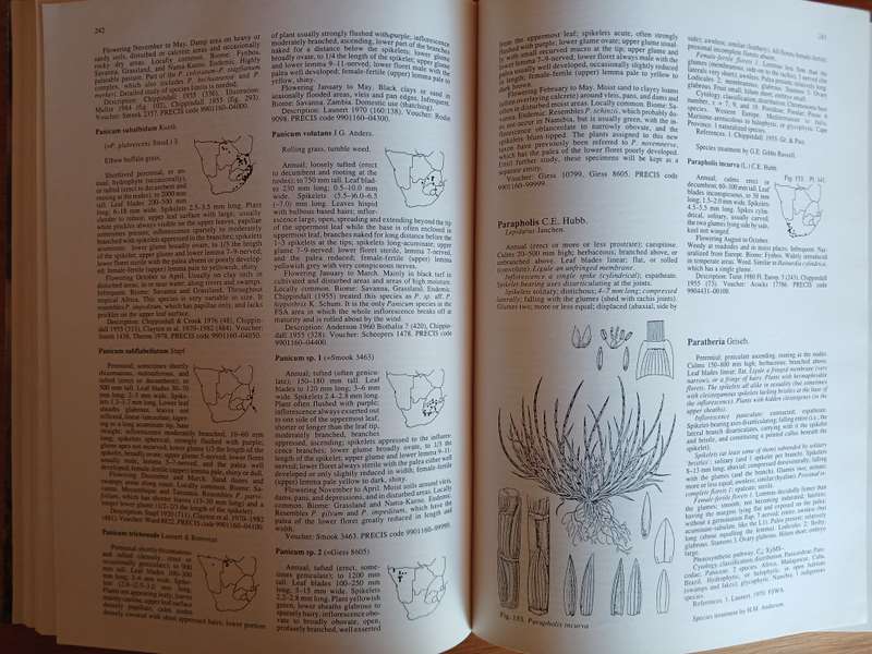 Grasses of southern Africa