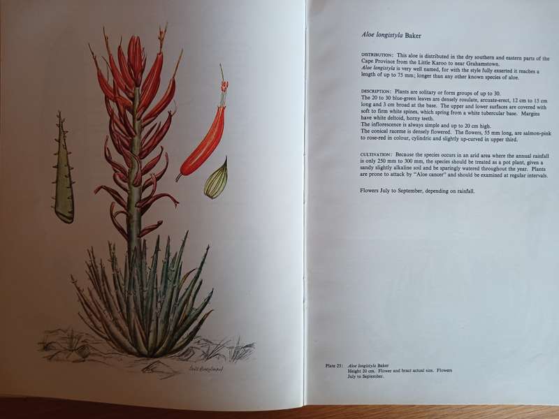 Aloes of the South African Veld