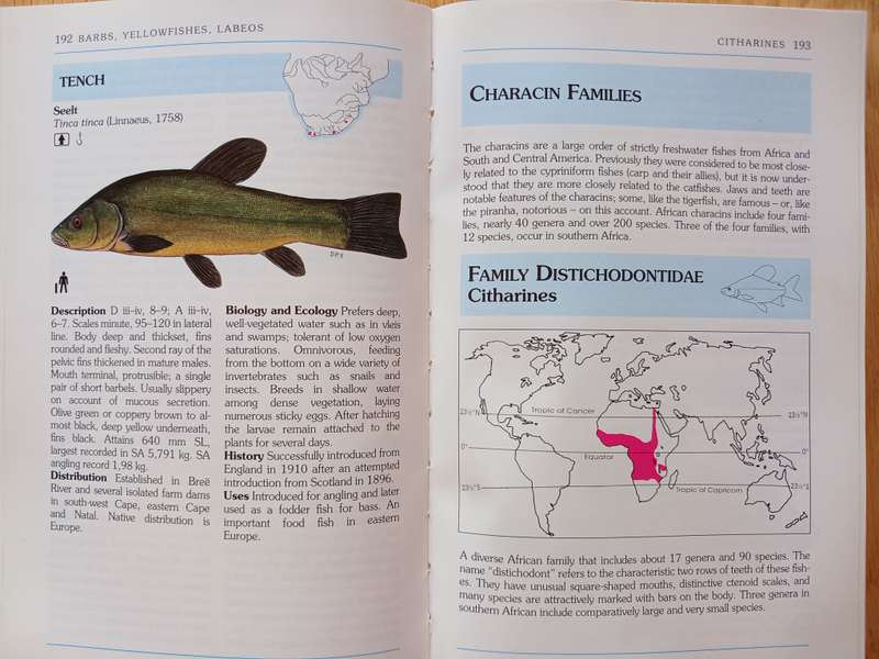 A Complete Guide to the Freshwater Fishes of Southern Africa