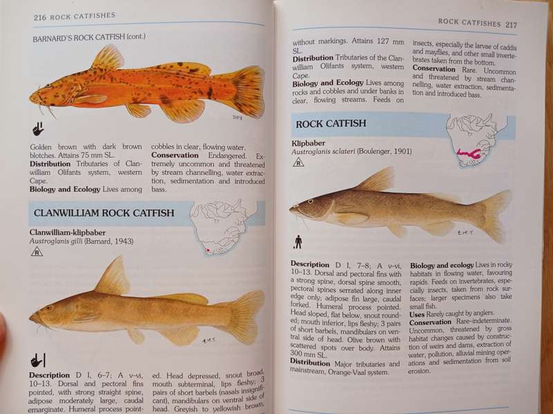 A Complete Guide to the Freshwater Fishes of Southern Africa