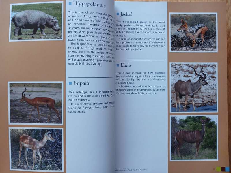 Discovering the secrets of Namibia: North-Eastern Namibia