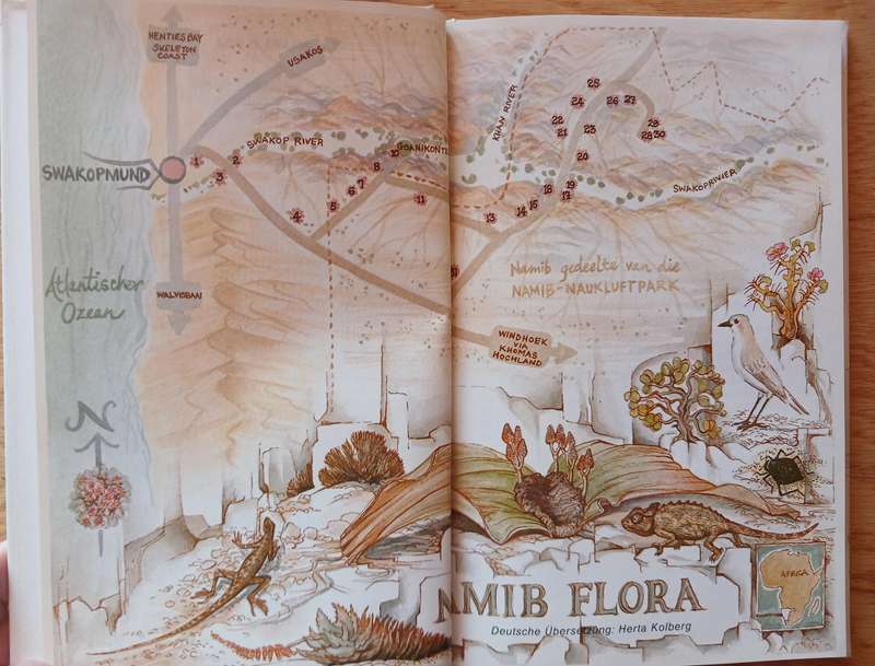 Namib Flora - Von Swakopmund zur grossen Welwitchia ber Goanikontes