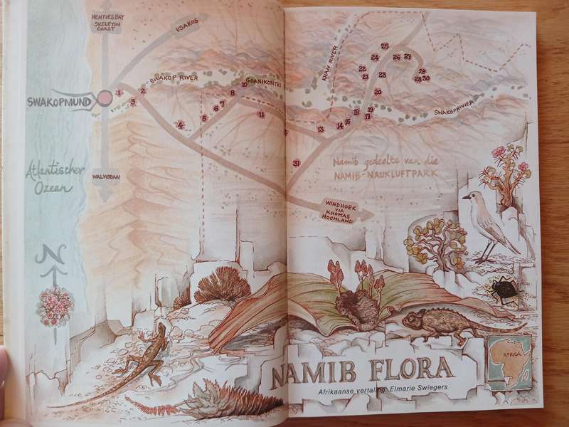 Namib Flora - Swakopmund na die groot Welwitschia via Goanikontes