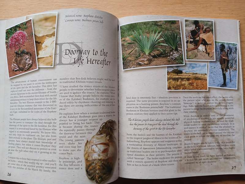 Muthi and Myths from the African BUsh