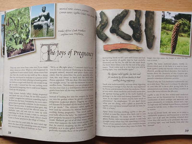 Muthi and Myths from the African BUsh